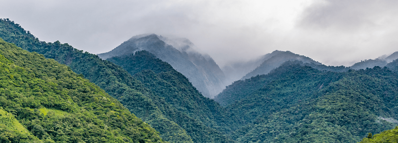 Горные склоны Эквадора, где растут какао-бобы